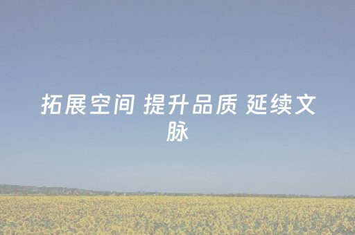 拓展空间 提升品质 延续文脉
