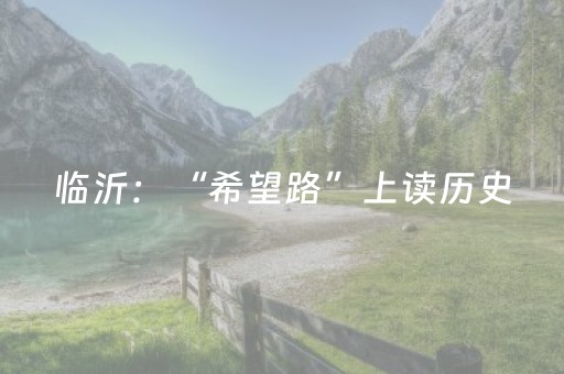 临沂：“希望路”上读历史