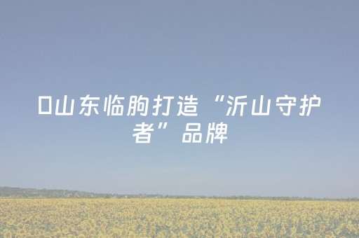 ​山东临朐打造“沂山守护者”品牌，探索景区志愿服务新路径
