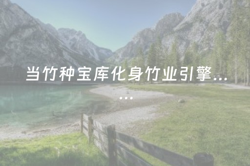 当竹种宝库化身竹业引擎……