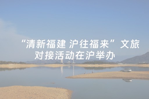 “清新福建 沪往福来”文旅对接活动在沪举办