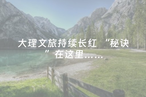 大理文旅持续长红 “秘诀”在这里……