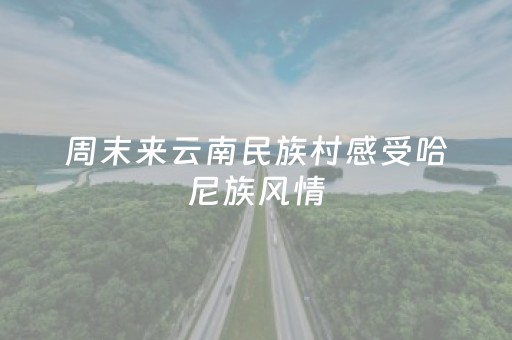 周末来云南民族村感受哈尼族风情