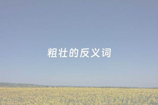 粗壮的反义词（离开的反义词）