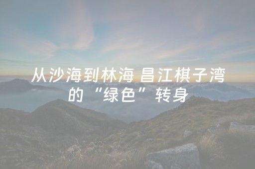从沙海到林海 昌江棋子湾的“绿色”转身