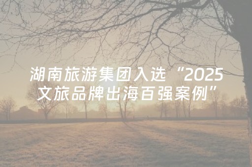 湖南旅游集团入选“2025文旅品牌出海百强案例”