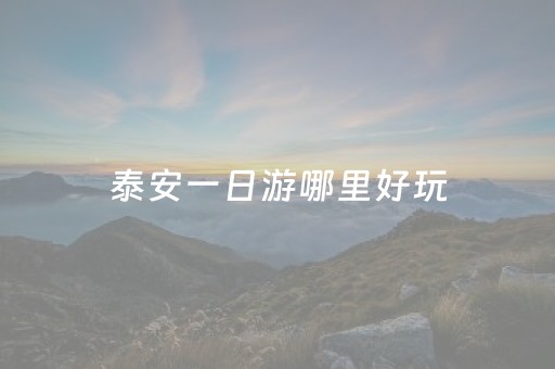 泰安一日游哪里好玩（泰安一日游哪里好玩儿）