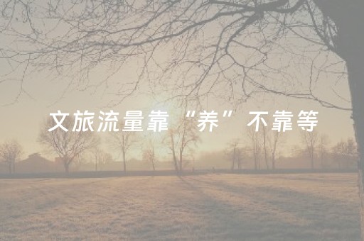 文旅流量靠“养”不靠等（纵横）