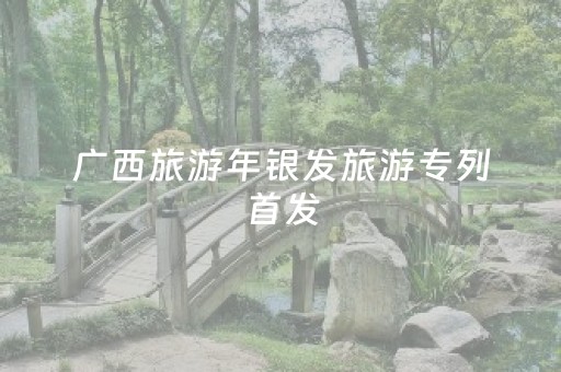广西旅游年银发旅游专列首发