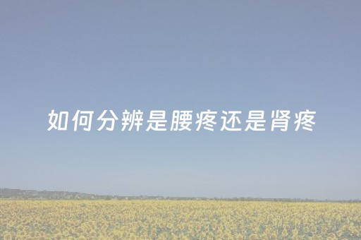 如何分辨是腰疼还是肾疼（女性右侧叉腰的地方疼）
