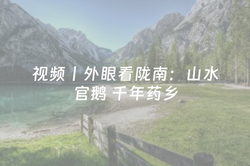 视频丨外眼看陇南：山水官鹅 千年药乡