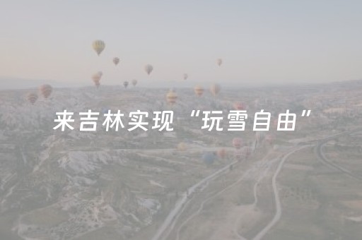 来吉林实现“玩雪自由”