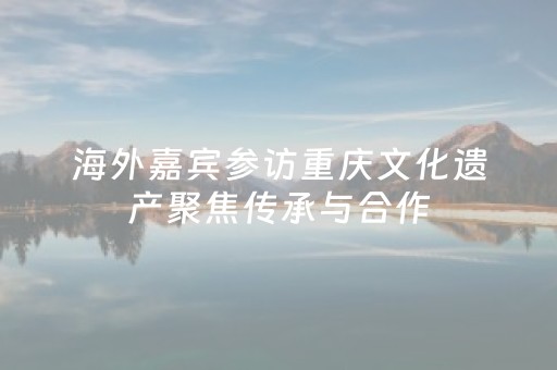 海外嘉宾参访重庆文化遗产聚焦传承与合作