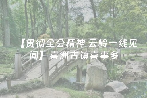 【贯彻全会精神 云岭一线见闻】喜洲古镇喜事多