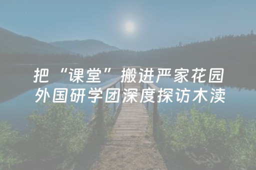 把“课堂”搬进严家花园 外国研学团深度探访木渎古镇