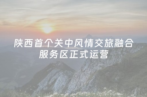 陕西首个关中风情交旅融合服务区正式运营