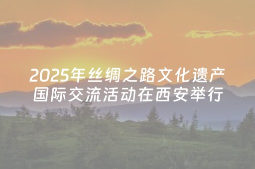 2025年丝绸之路文化遗产国际交流活动在西安举行