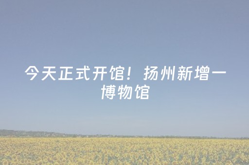 今天正式开馆！扬州新增一博物馆