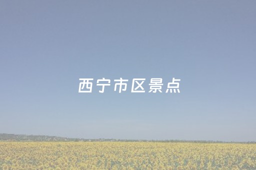 西宁市区景点（西宁市区景点分布地图）