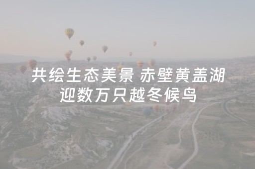 共绘生态美景 赤壁黄盖湖迎数万只越冬候鸟