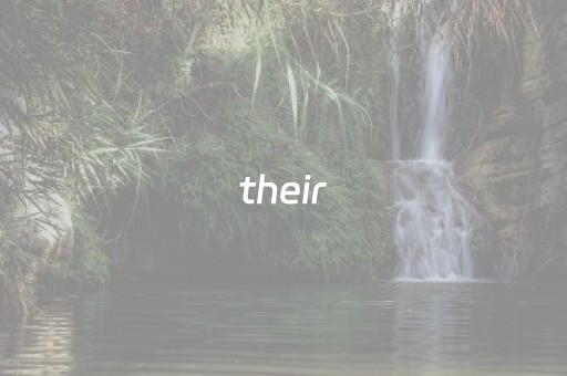 their（their翻译中文）