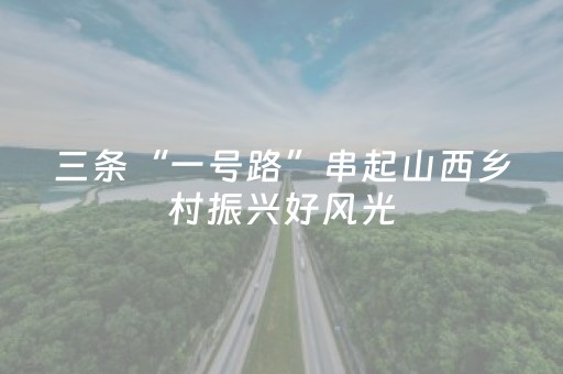 三条“一号路”串起山西乡村振兴好风光