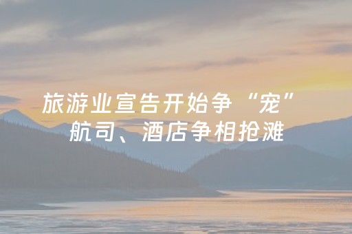 旅游业宣告开始争“宠” 航司、酒店争相抢滩