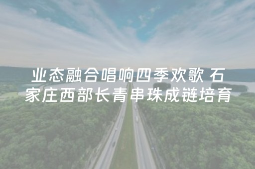 业态融合唱响四季欢歌 石家庄西部长青串珠成链培育消费增长点