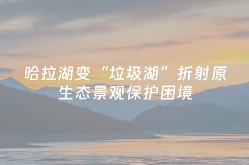 哈拉湖变“垃圾湖”折射原生态景观保护困境