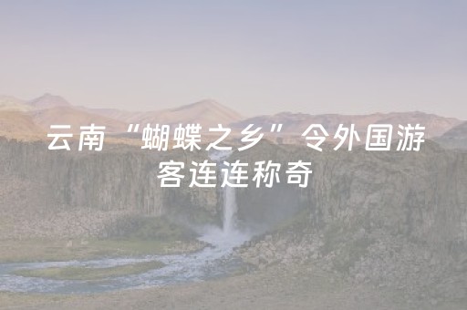 云南“蝴蝶之乡”令外国游客连连称奇