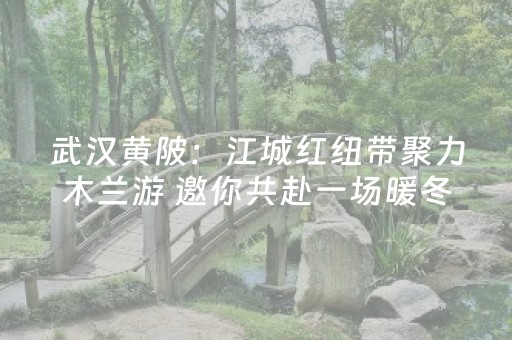武汉黄陂：江城红纽带聚力木兰游 邀你共赴一场暖冬之约