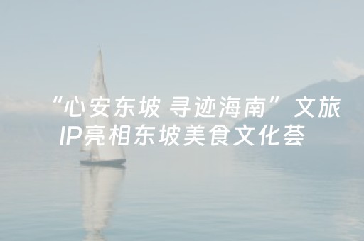 “心安东坡 寻迹海南”文旅IP亮相东坡美食文化荟