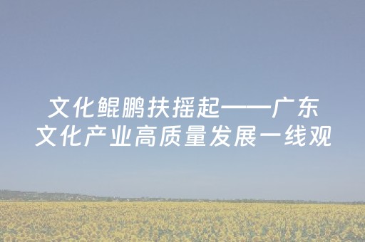文化鲲鹏扶摇起——广东文化产业高质量发展一线观察