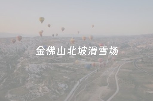 金佛山北坡滑雪场（金佛山北坡滑雪场图片）