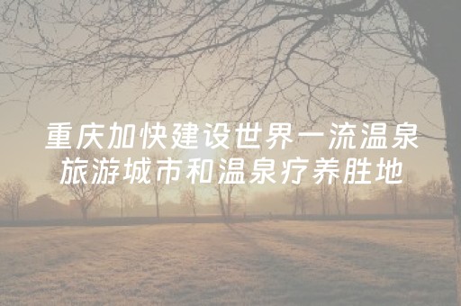 重庆加快建设世界一流温泉旅游城市和温泉疗养胜地
