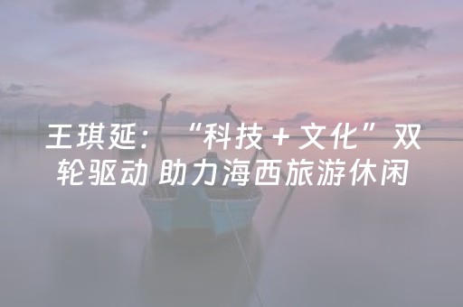 王琪延：“科技＋文化”双轮驱动 助力海西旅游休闲产业高质量发展