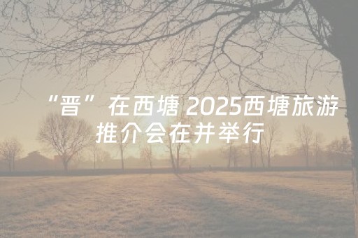 “晋”在西塘 2025西塘旅游推介会在并举行