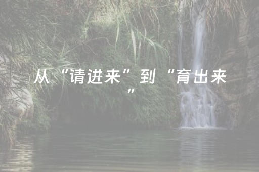 从“请进来”到“育出来”，“世界瓷都”之旅何以从“一时爆红”走向“长久长红”