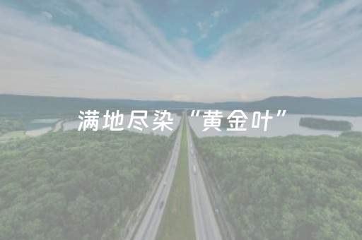 满地尽染“黄金叶”，杭州这条街最出片的时节来了！