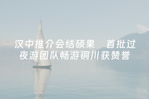 汉中推介会结硕果　首批过夜游团队畅游铜川获赞誉