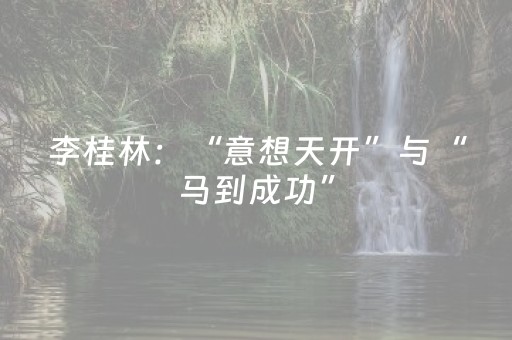 李桂林：“意想天开”与“马到成功”