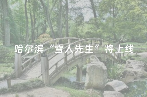 哈尔滨“雪人先生”将上线，能360度沉浸式观赏