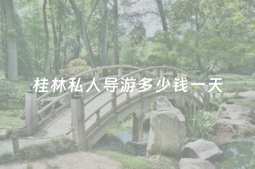 桂林私人导游多少钱一天（桂林导游推荐）