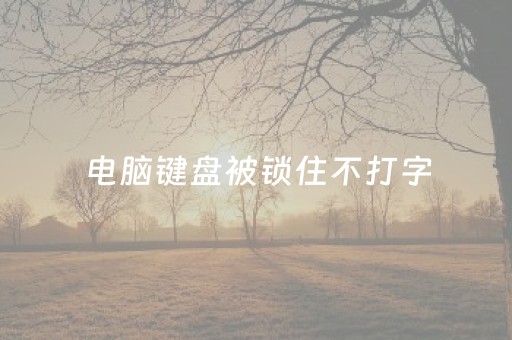 电脑键盘被锁住不打字（电脑键盘被锁住不打字,功能键可以用）
