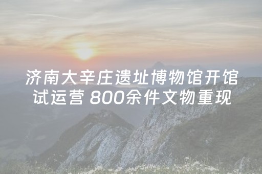 济南大辛庄遗址博物馆开馆试运营 800余件文物重现“东方商邑”