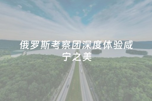 俄罗斯考察团深度体验咸宁之美