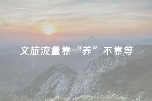 文旅流量靠“养”不靠等
