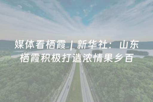 媒体看栖霞｜新华社：山东栖霞积极打造浓情果乡百里画廊