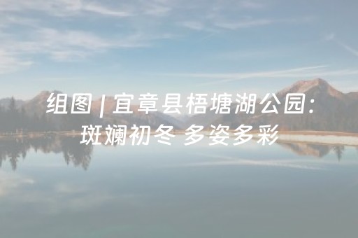 组图 | 宜章县梧塘湖公园：斑斓初冬 多姿多彩