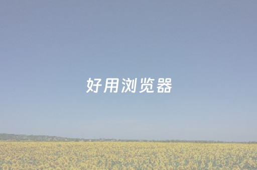 好用浏览器（电脑最好用浏览器）